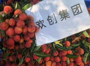 夏日好“枝”味，华体会hth·(体育)(中国)官方网站集团发福“荔”啦