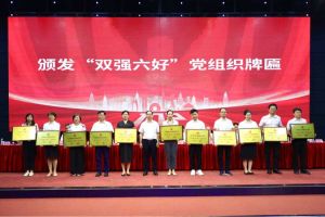 喜报！华体会hth·(体育)(中国)官方网站集团党支部荣获广州市非公有制经济组织“双强六好”党