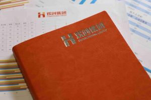 华体会hth·(体育)(中国)官方网站的优势及其对企业发展的影响